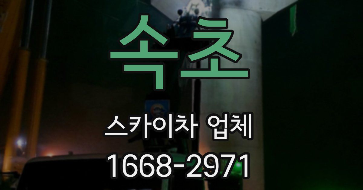 속초 스카이차 업체