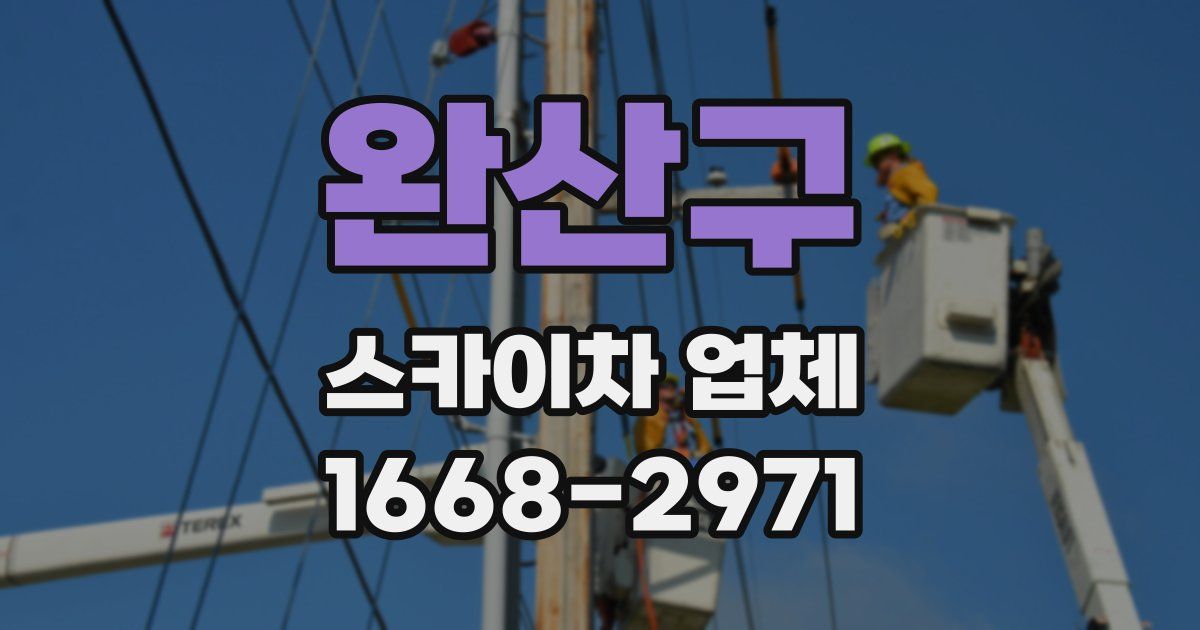 완산구 스카이차 업체