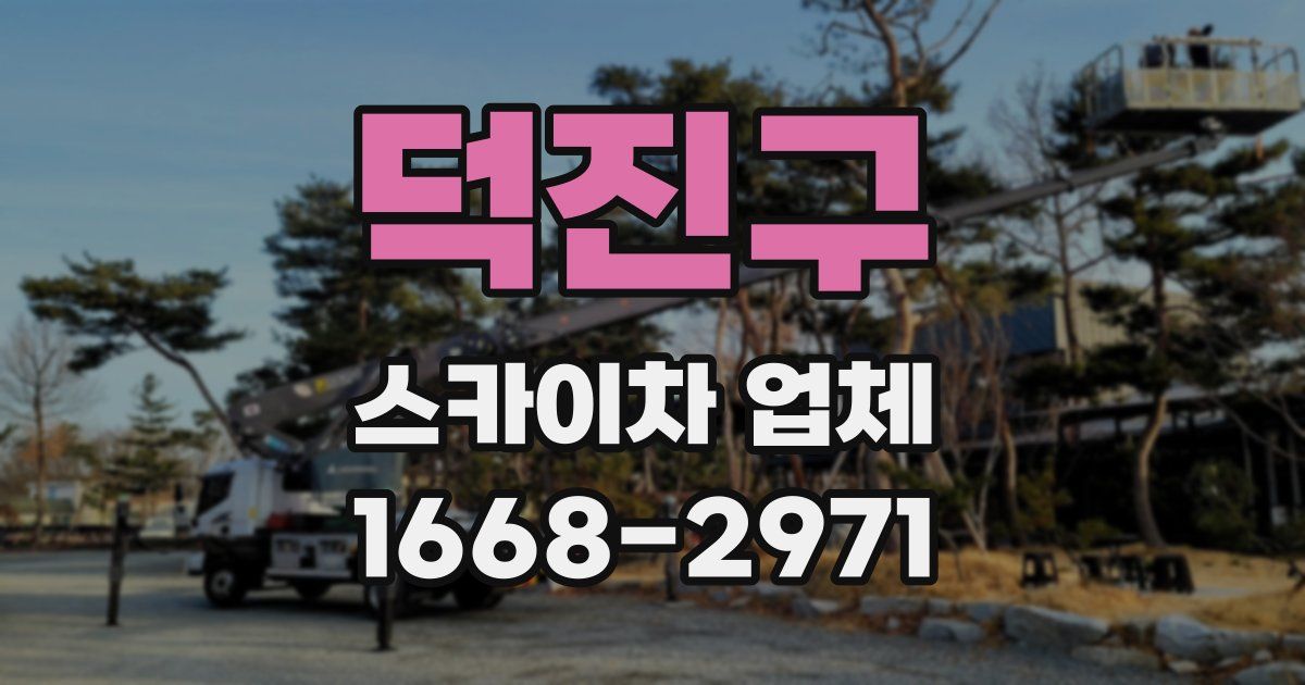 덕진구 스카이차 업체