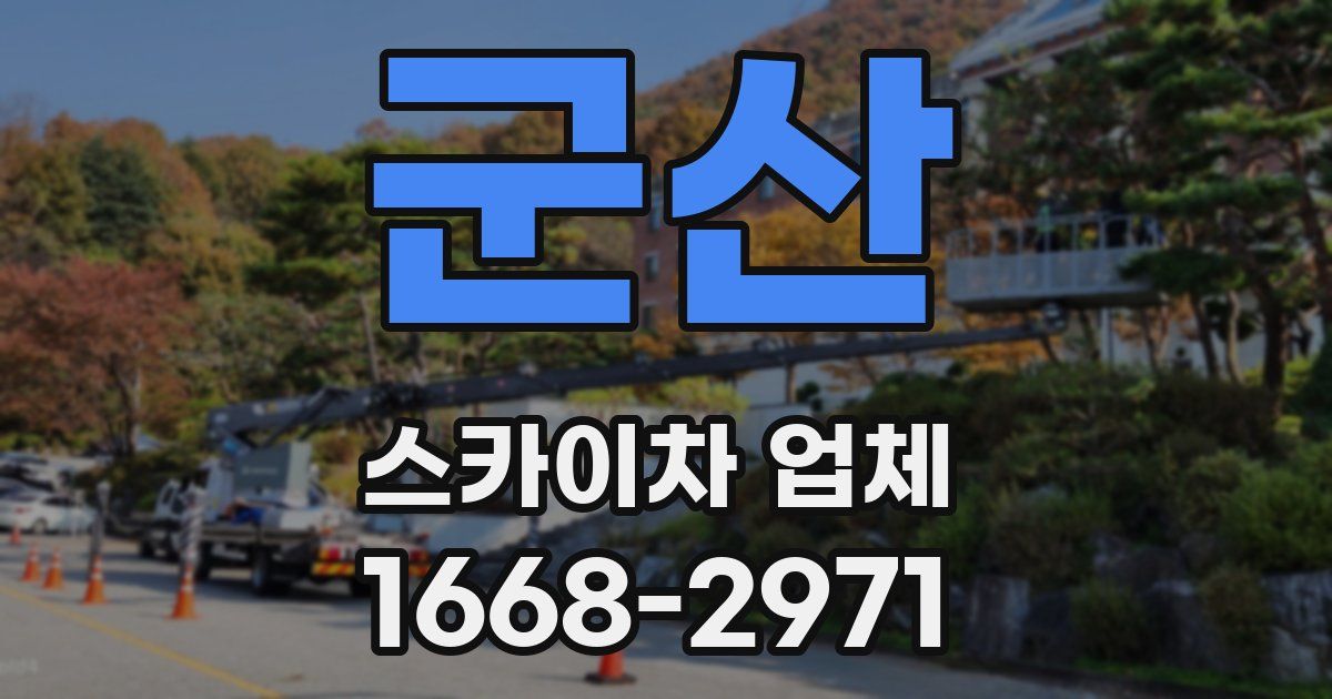 군산 스카이차 업체