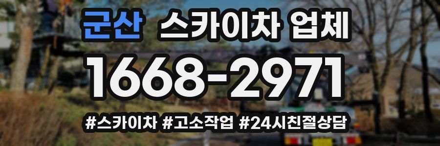 군산 스카이차 업체