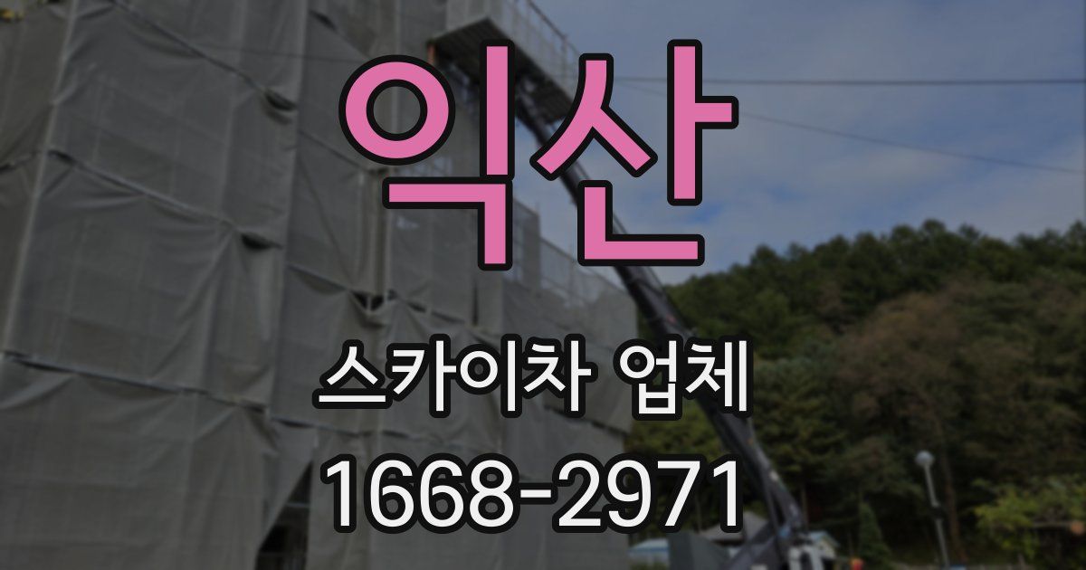 익산 스카이차 업체