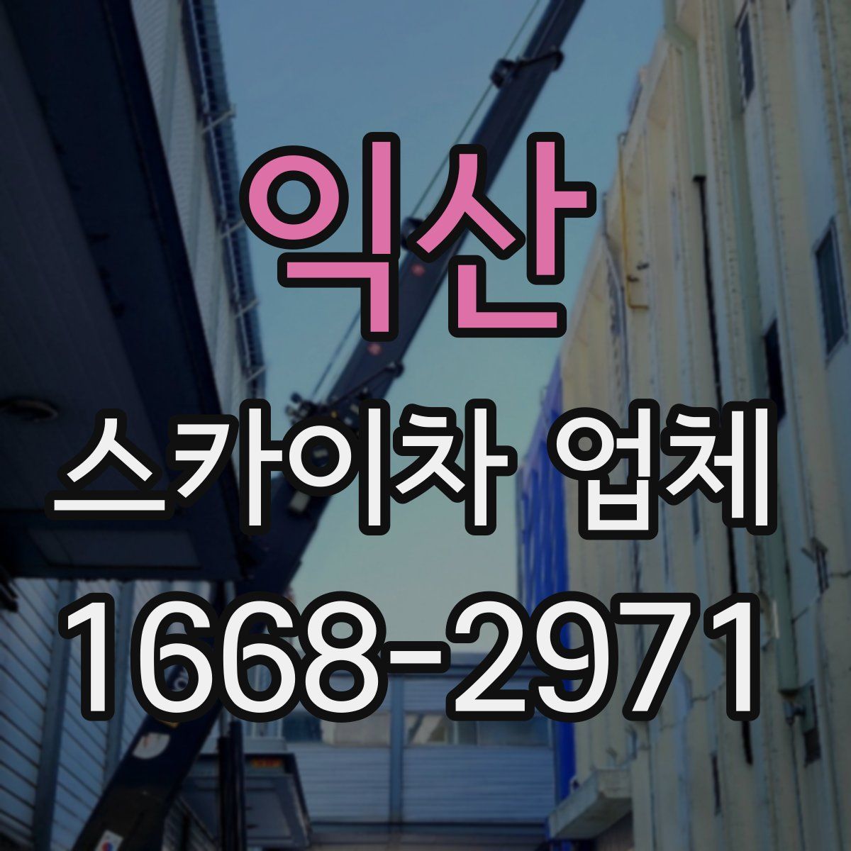 익산 스카이차 업체