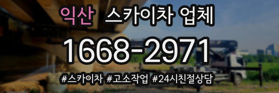익산 스카이차 업체