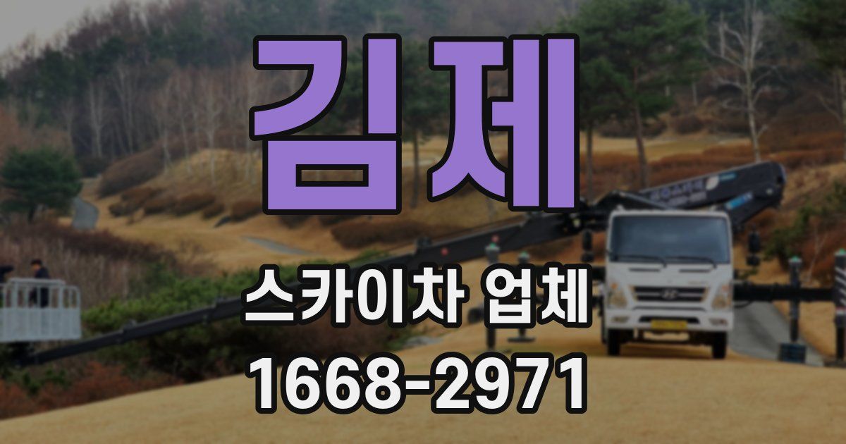 김제 스카이차 업체