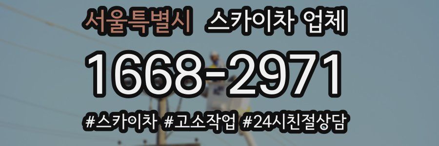 서울특별시 스카이차 업체