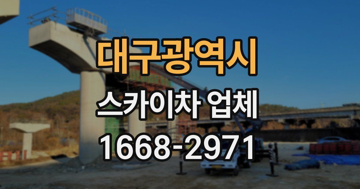 대구광역시 스카이차 업체