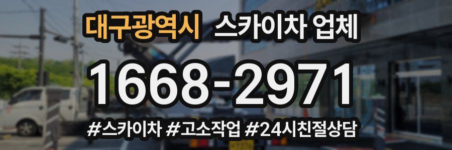 대구광역시 스카이차 업체