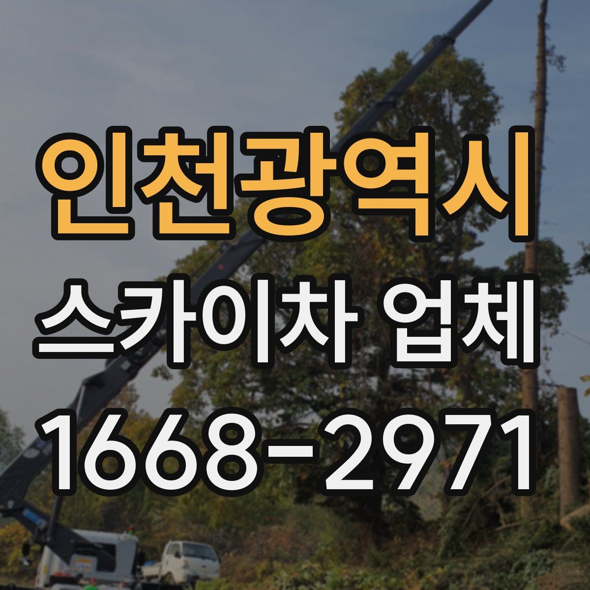인천광역시 스카이차 업체