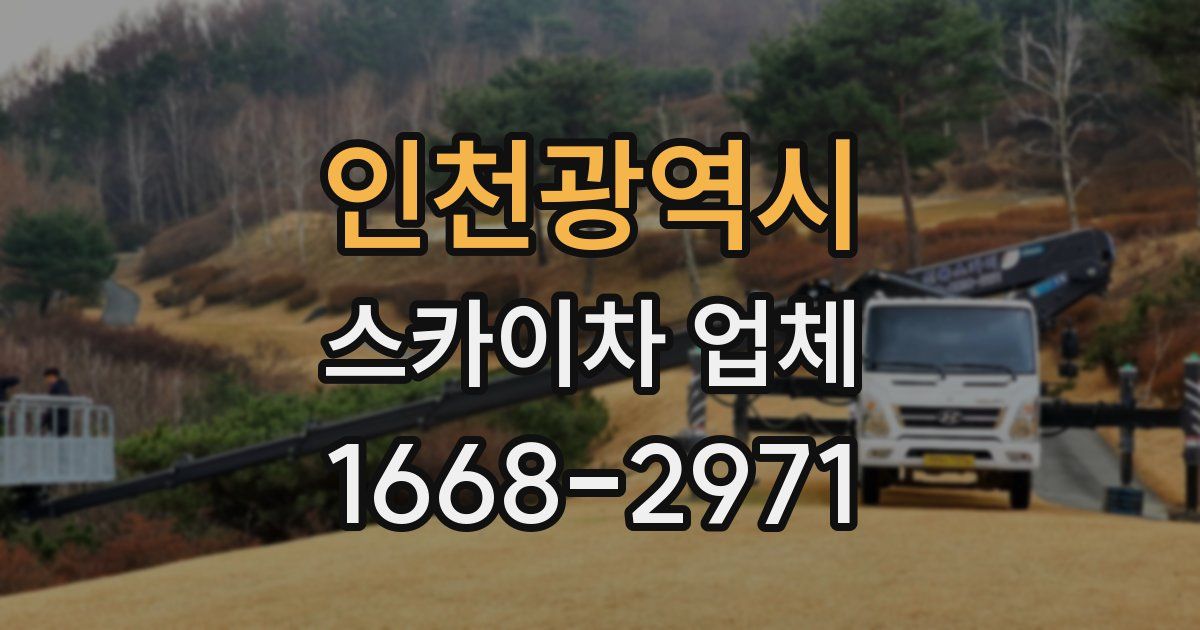 인천광역시 스카이차 업체