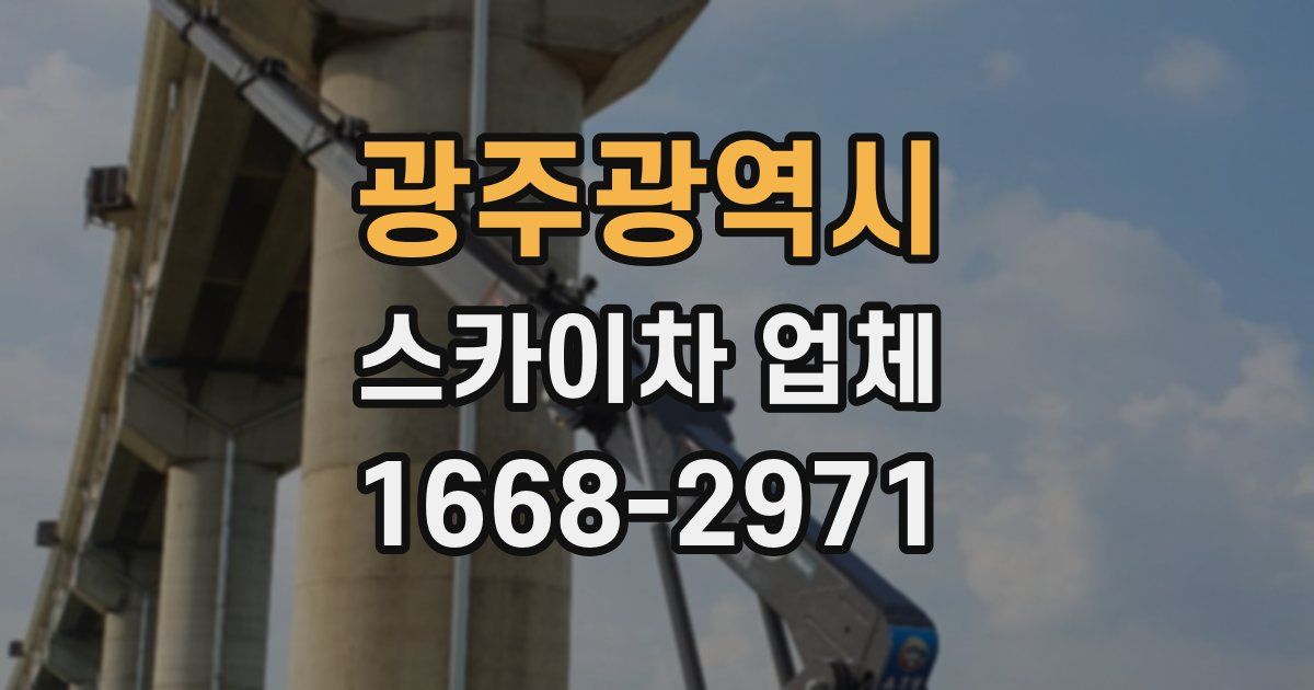 광주광역시 스카이차 업체