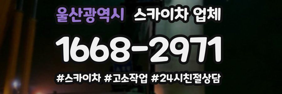 울산광역시 스카이차 업체