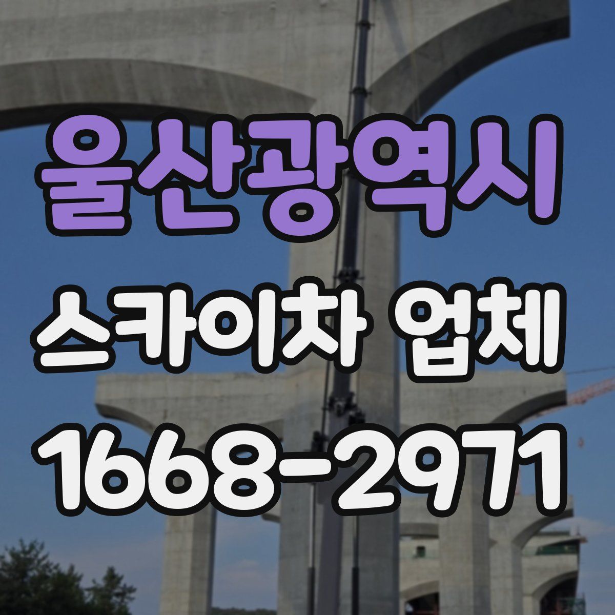 울산광역시 스카이차 업체