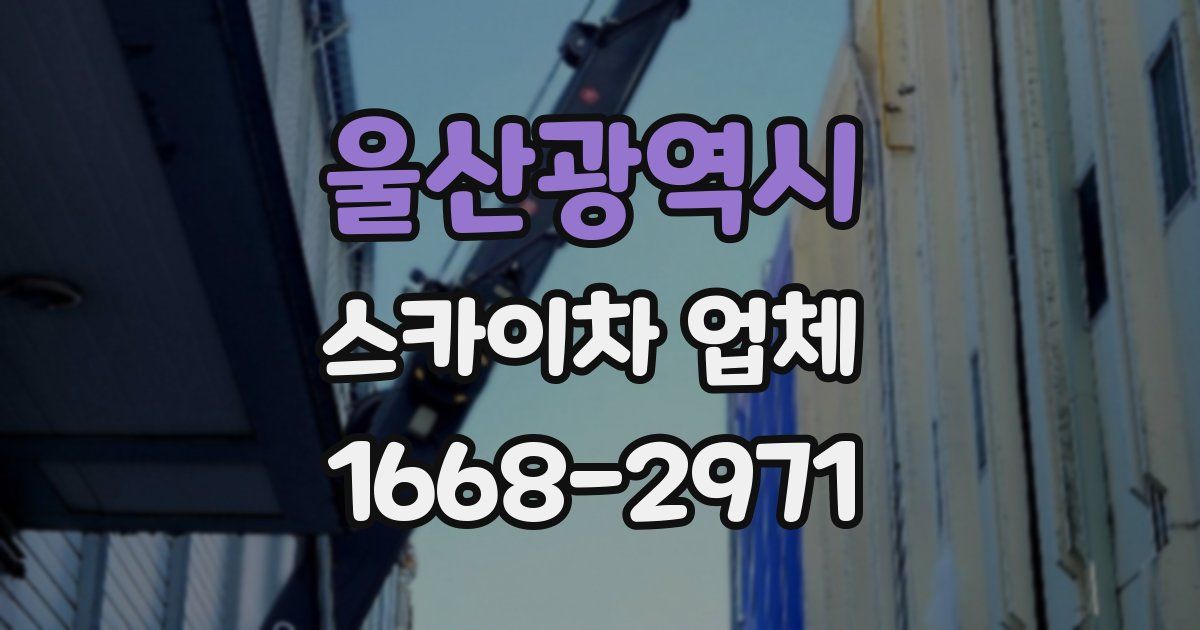 울산광역시 스카이차 업체