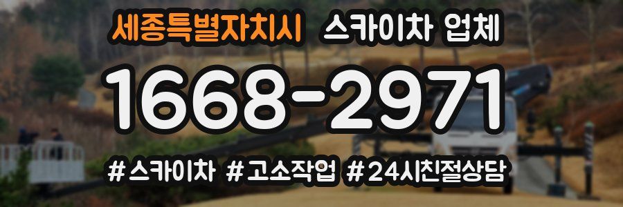 세종특별자치시 스카이차 업체