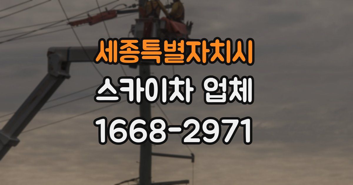 세종특별자치시 스카이차 업체