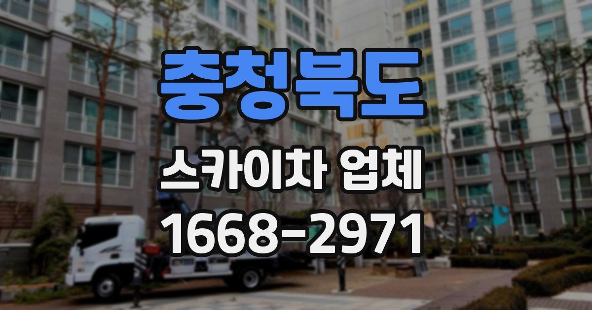 충청북도 스카이차 업체
