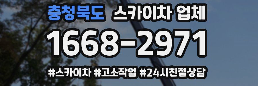 충청북도 스카이차 업체