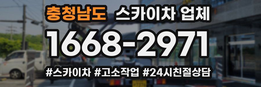 충청남도 스카이차 업체