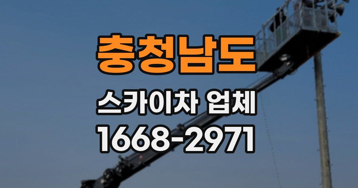 충청남도 스카이차 업체