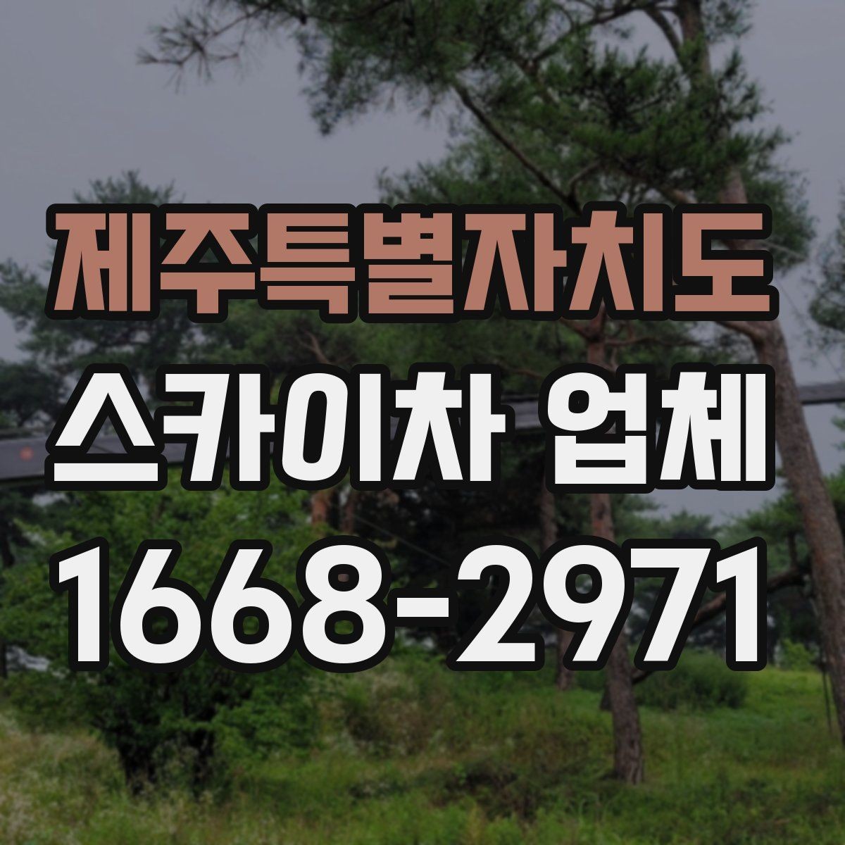 제주특별자치도 스카이차 업체 찾을 때 비교해볼 항목들