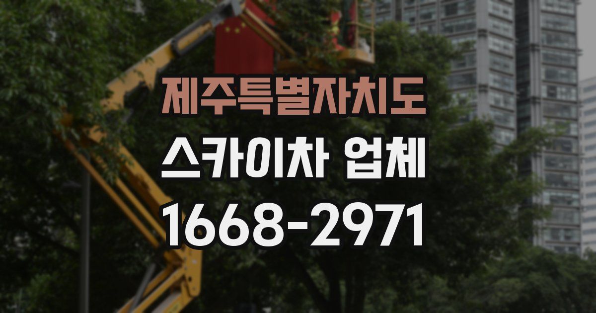 제주특별자치도 스카이차 업체