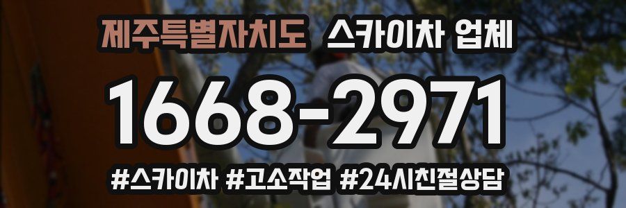 제주특별자치도 스카이차 업체