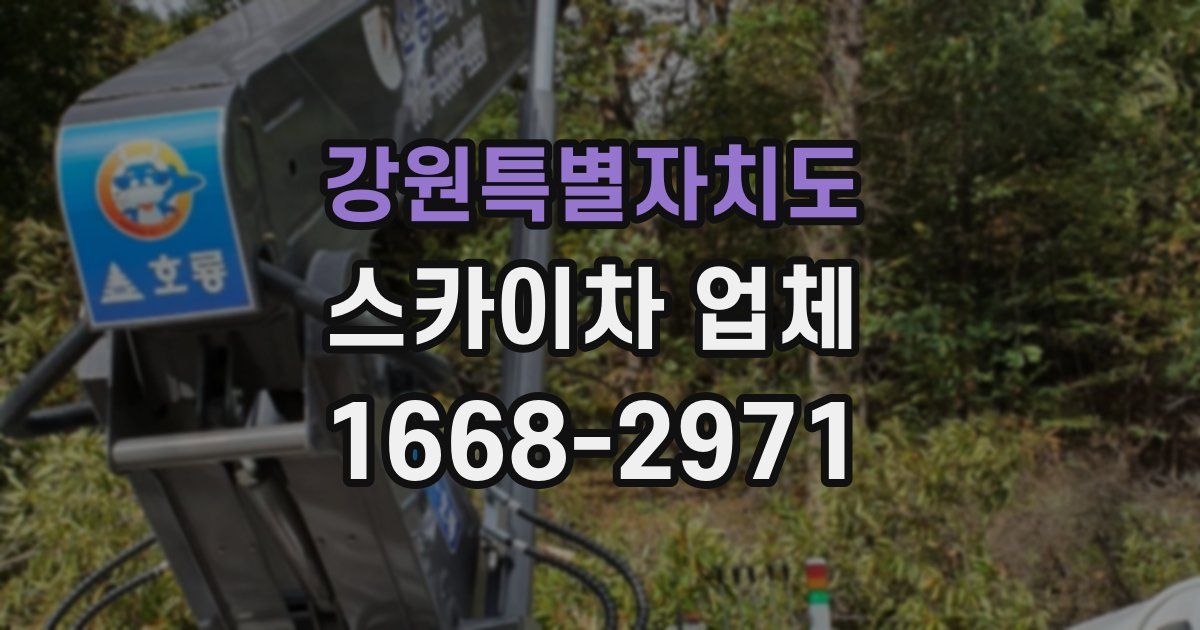 강원특별자치도 스카이차 업체
