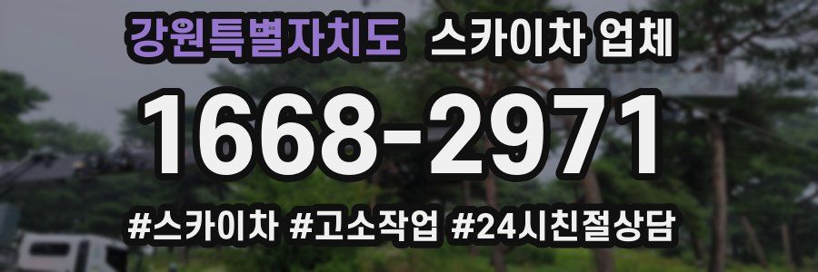강원특별자치도 스카이차 업체