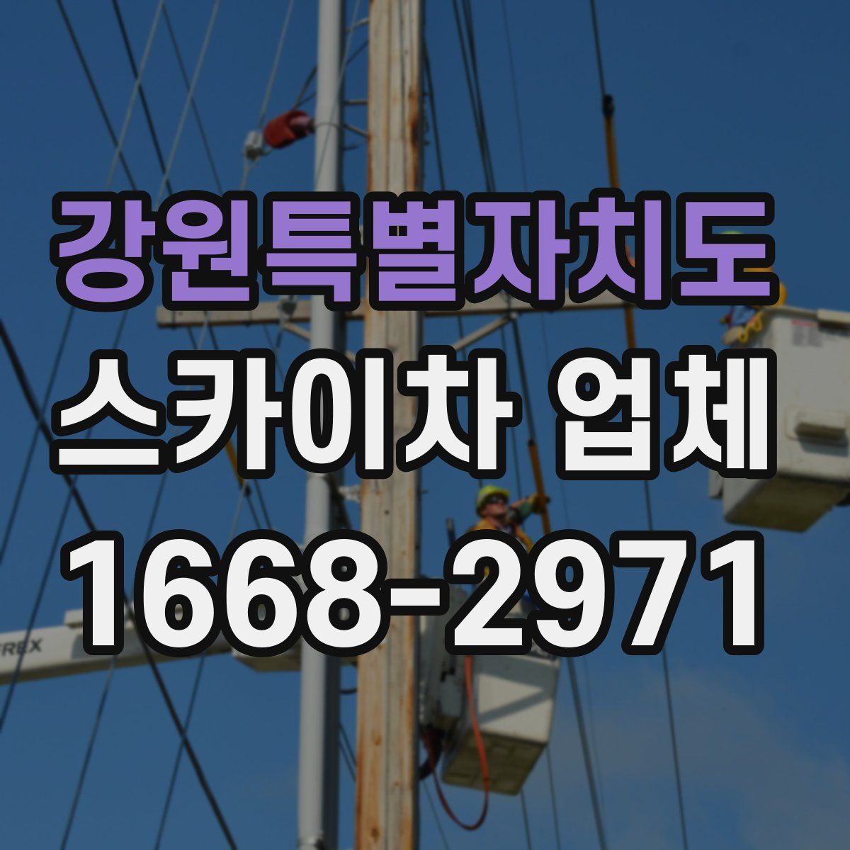 강원특별자치도 스카이차 업체