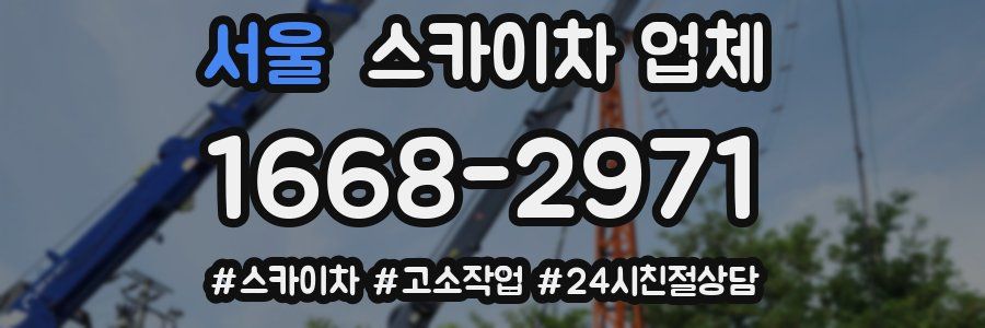 서울 스카이차 업체