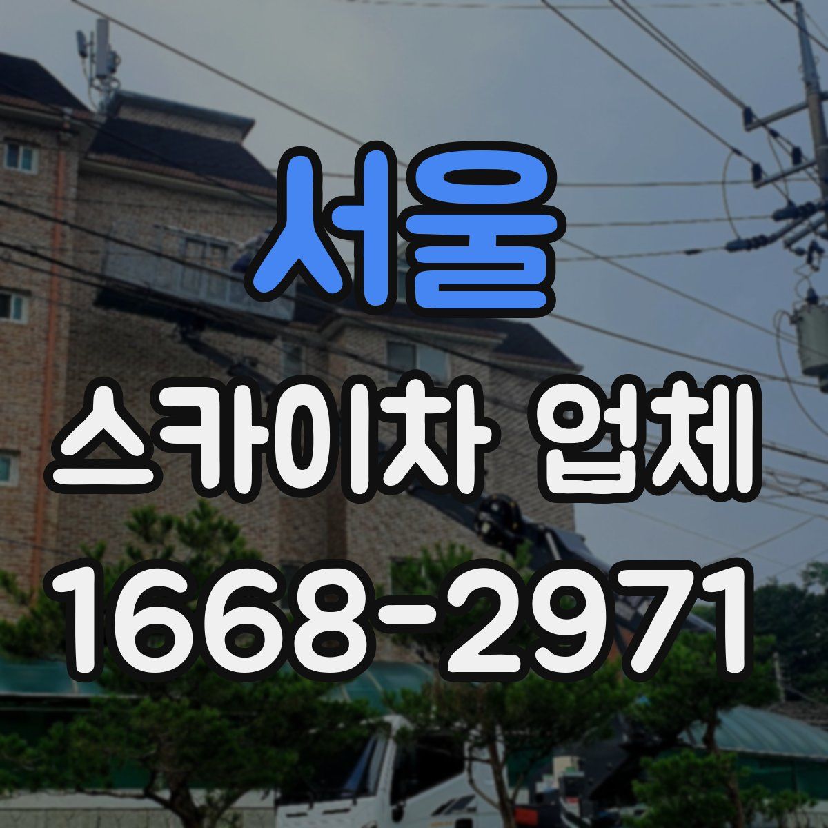 서울 스카이차 업체
