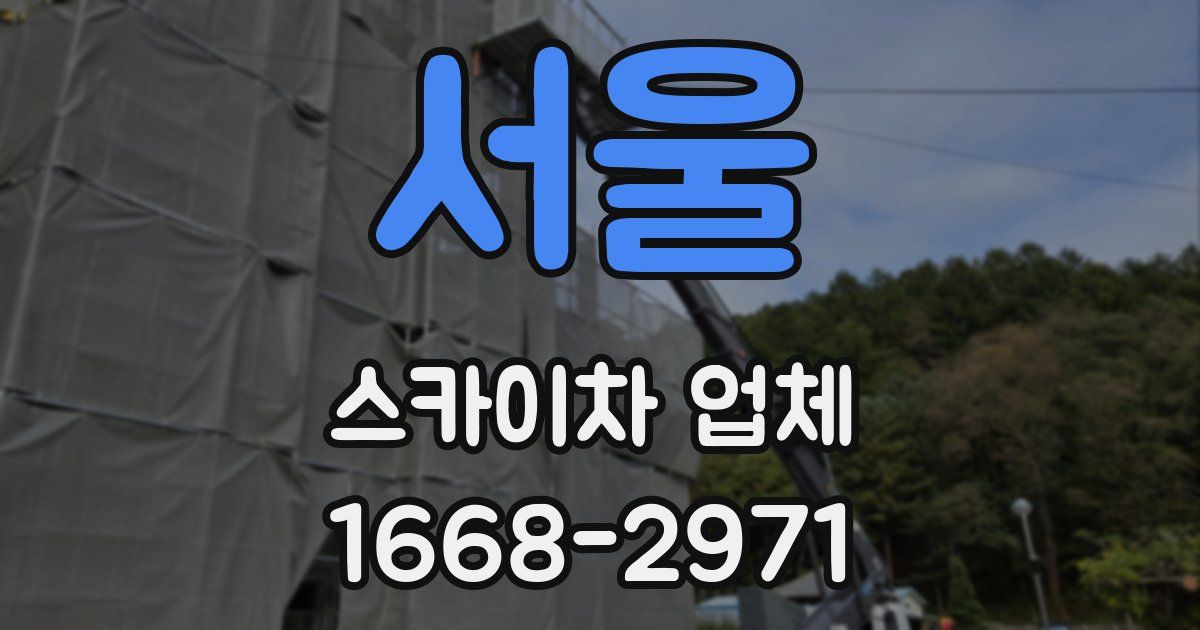 서울 스카이차 업체