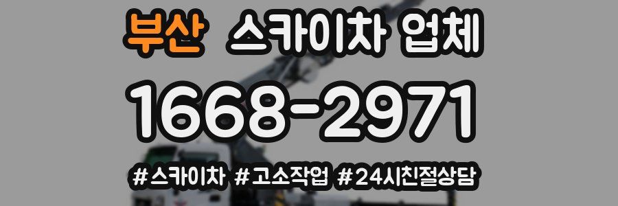 부산 스카이차 업체