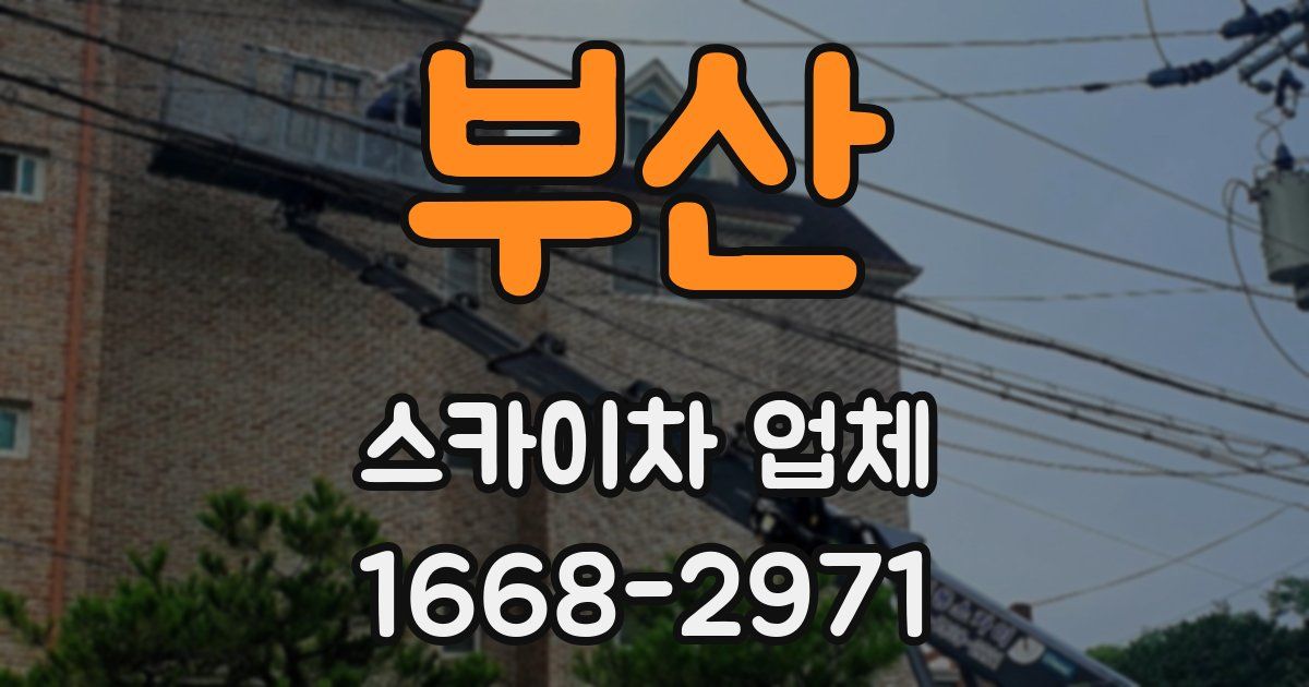 부산 스카이차 업체