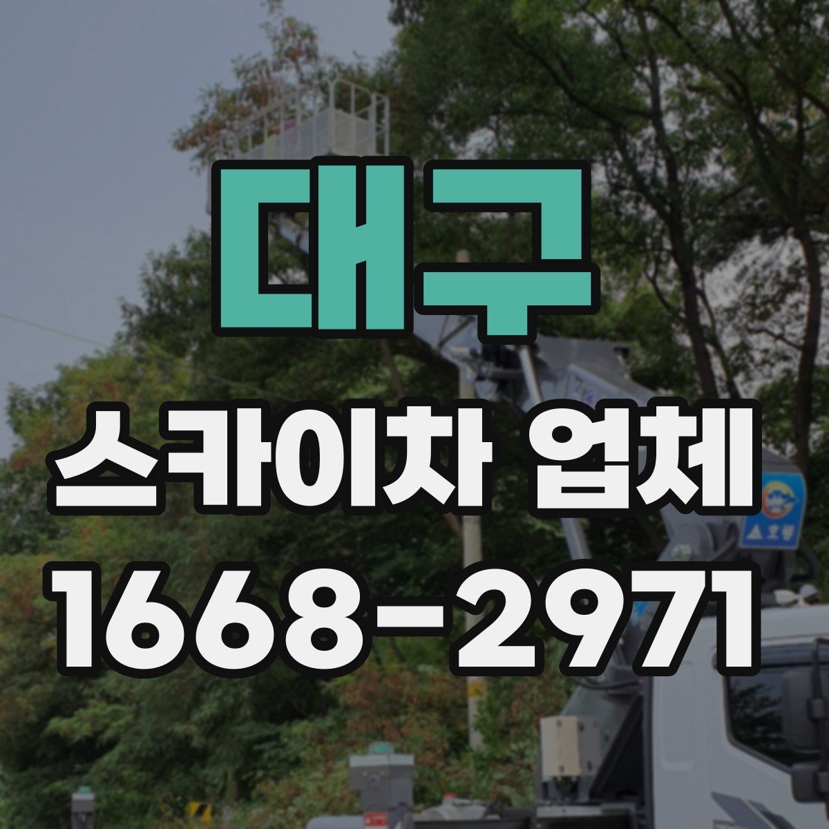 대구 스카이차 업체