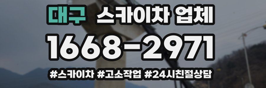 대구 스카이차 업체