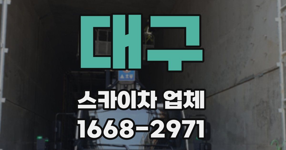 대구 스카이차 업체
