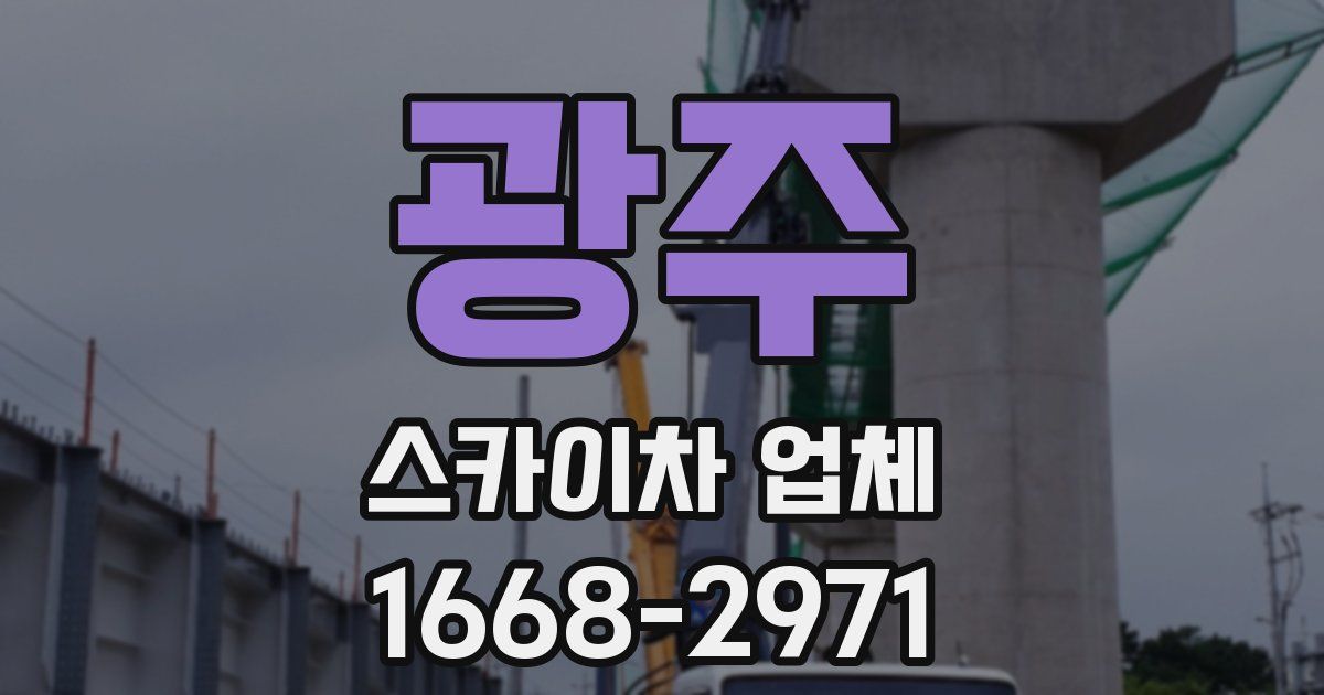 광주 스카이차 업체