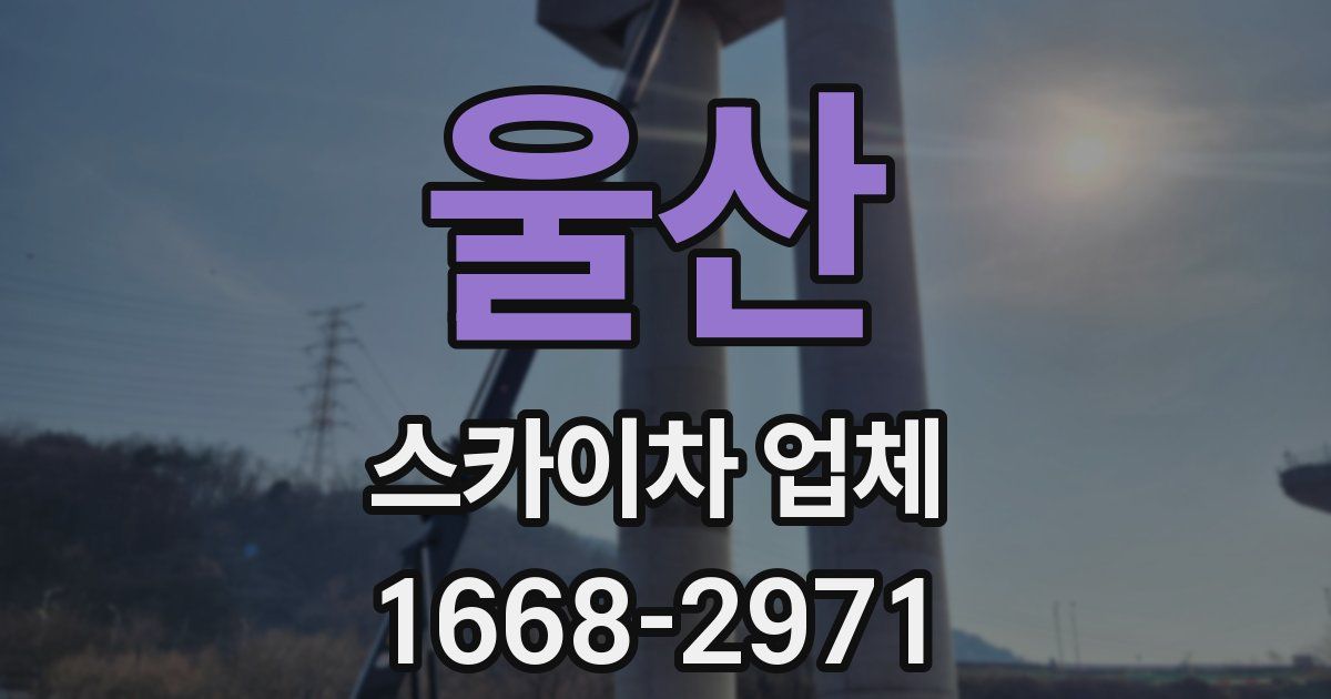 울산 스카이차 업체