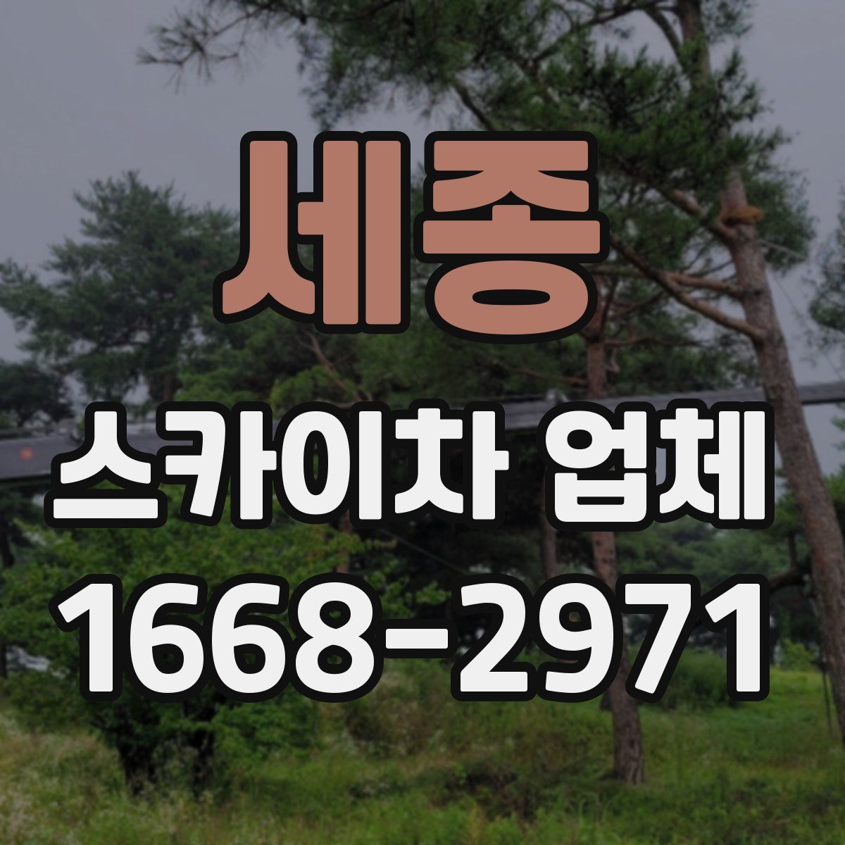 세종 스카이차 업체