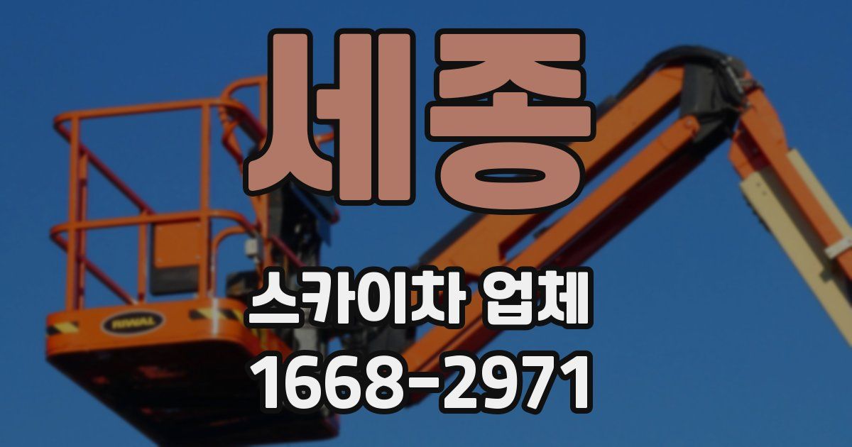 세종 스카이차 업체