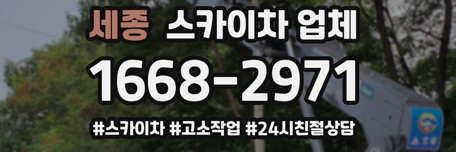 세종 스카이차 업체