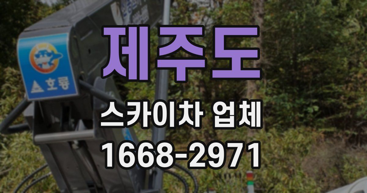 제주도 스카이차 업체