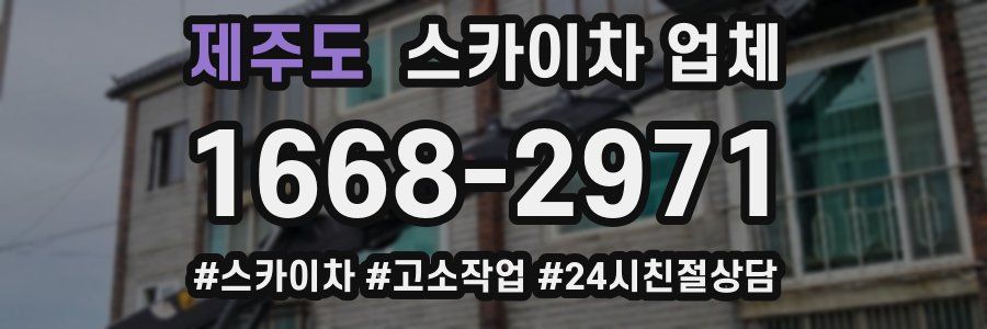 제주도 스카이차 업체