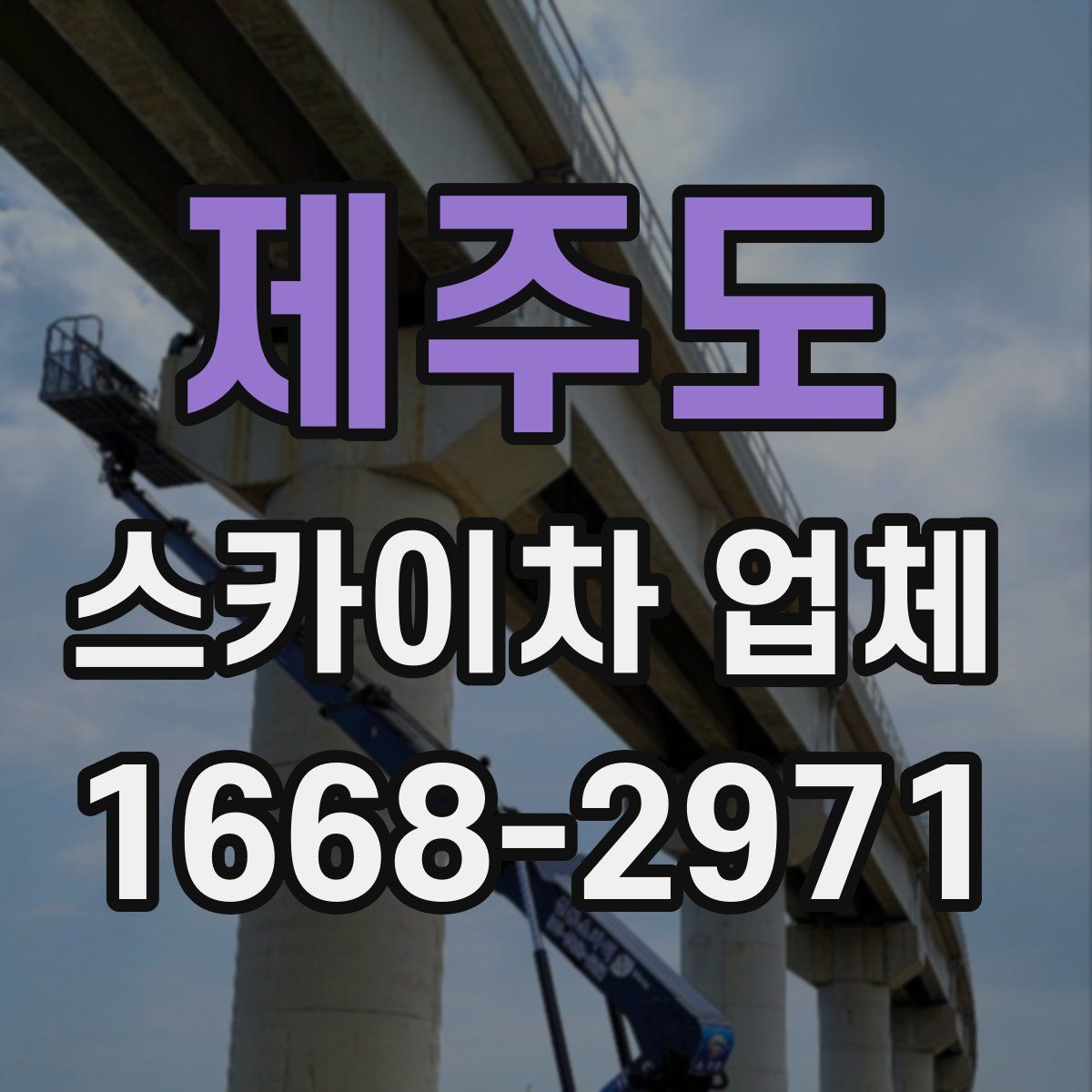 제주도 스카이차 업체