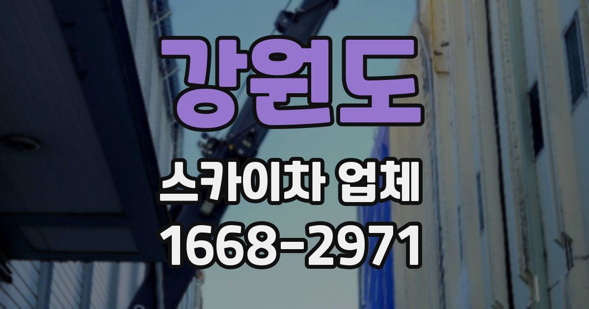 강원도 스카이차 업체