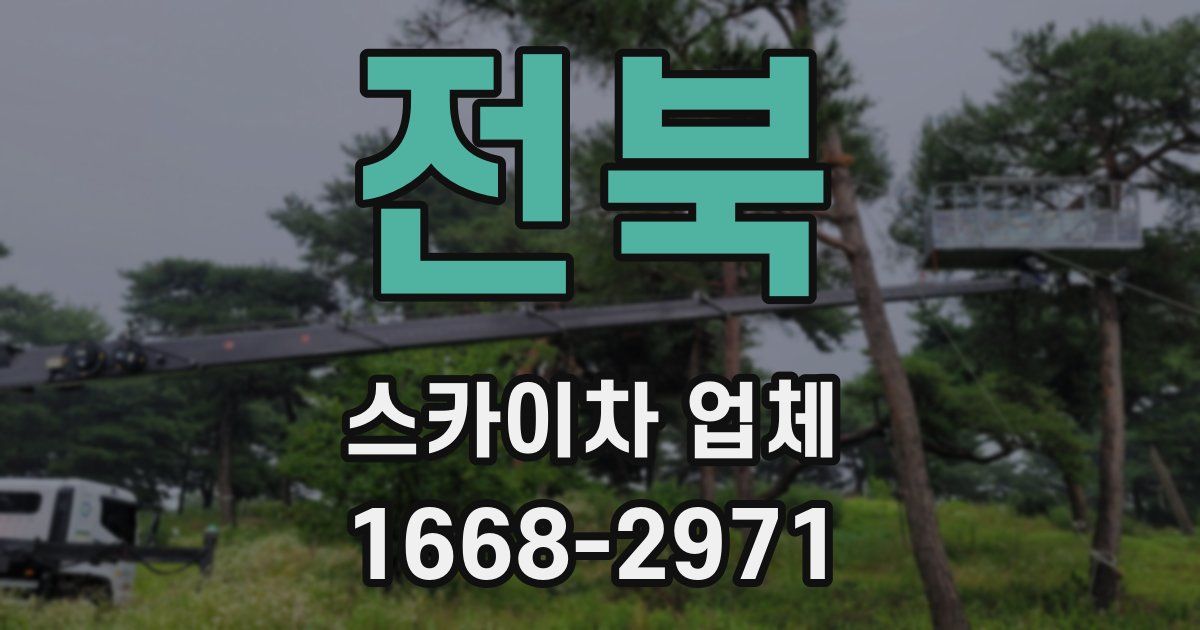 전북 스카이차 업체