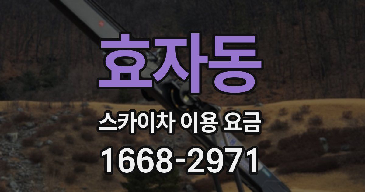 효자동 스카이차 이용 요금