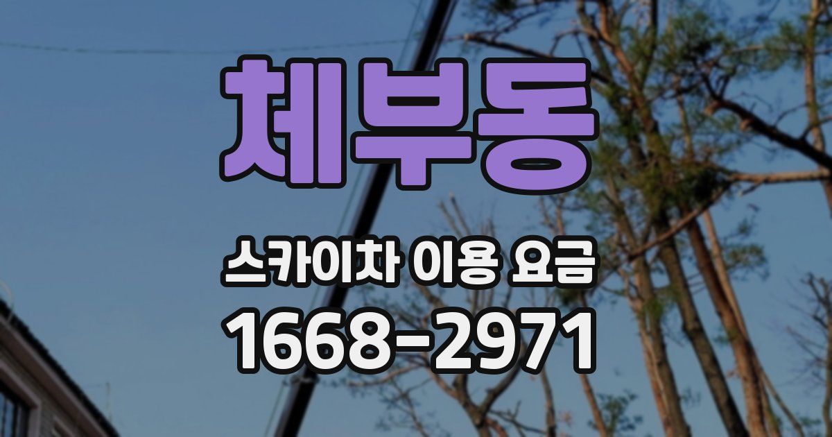 체부동 스카이차 이용 요금
